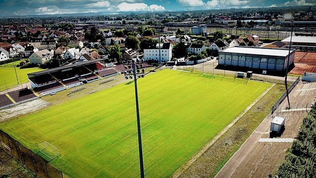 国际足联欧 国际足联欧