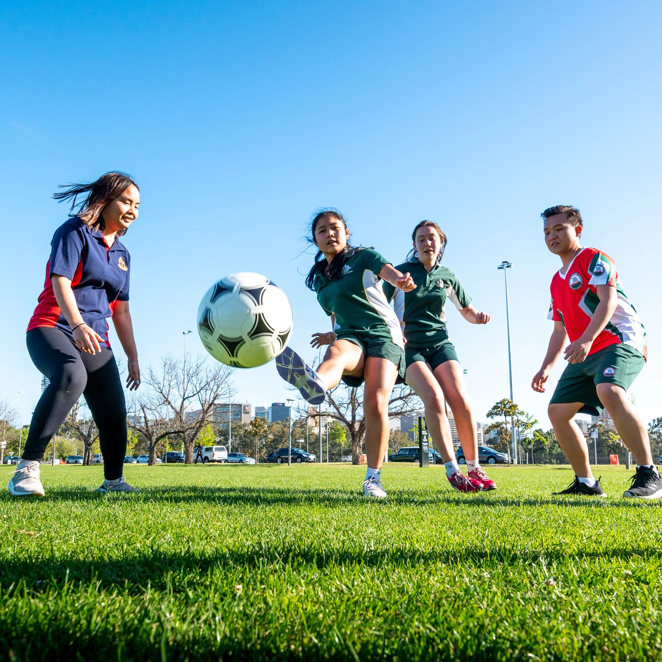 对彼此的战 对彼此的战