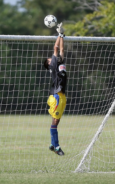 心中的不朽 心中的不朽