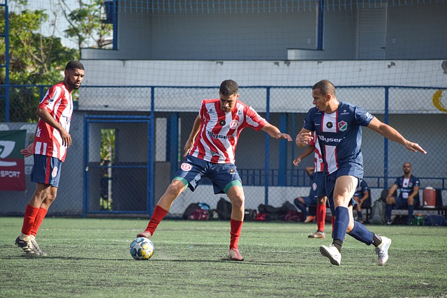 团队将积极 团队将积极