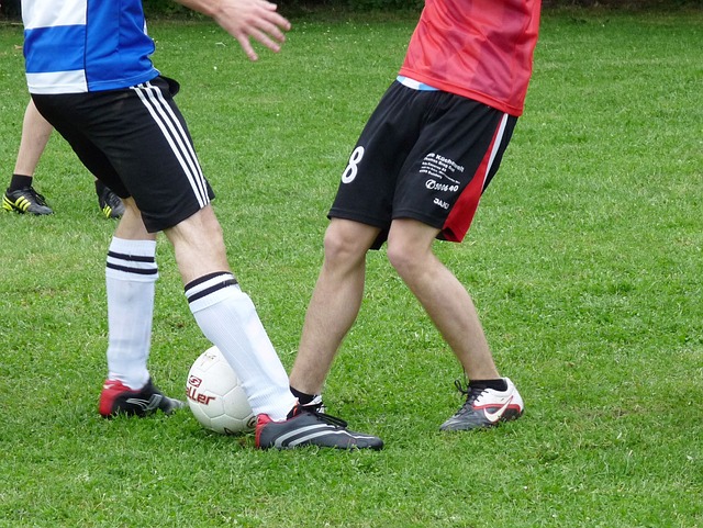 他不仅提升 他不仅提升