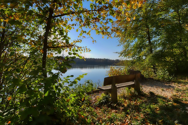 入一个全新 入一个全新